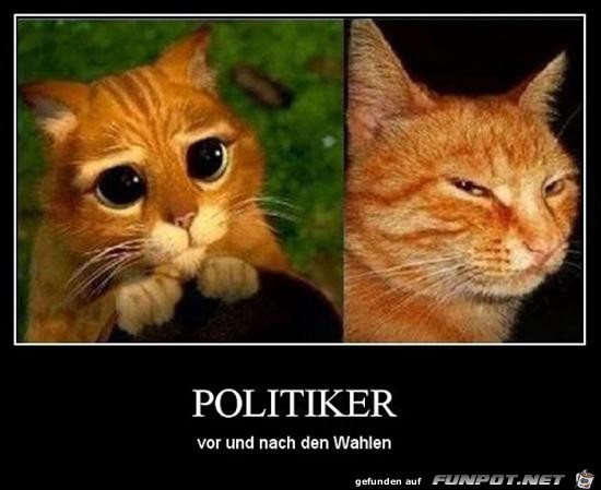 Politiker