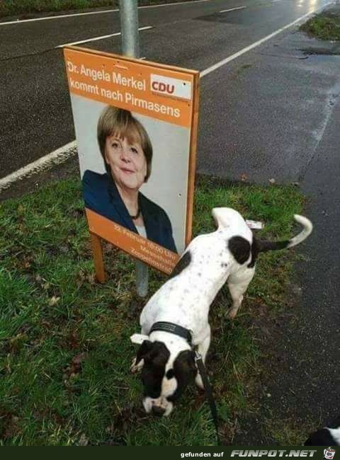 schlecht platzierte Werbung schlecht platzierte Werbung