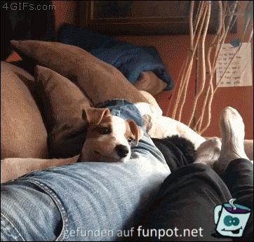 Ick freu mir Ick freu mir