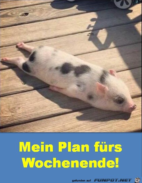 Mein Plan