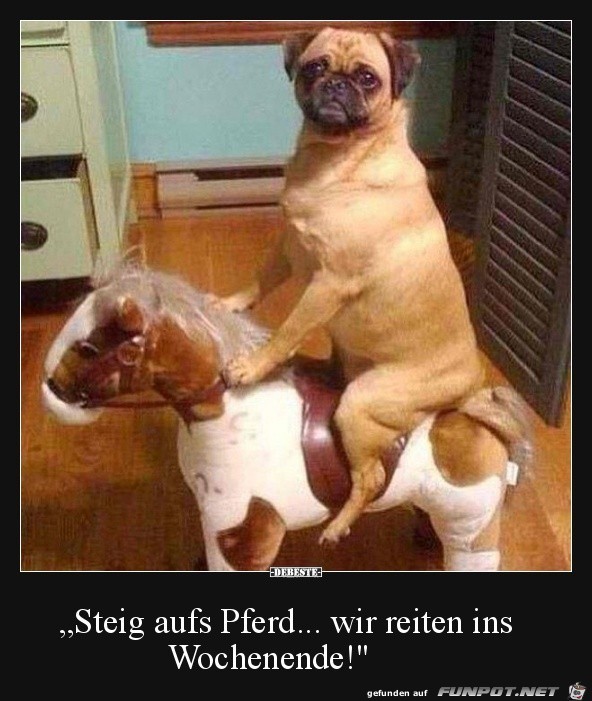 Steig auf Steig auf