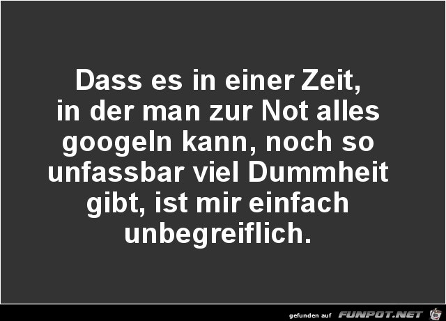 Viel Dummheit Viel Dummheit