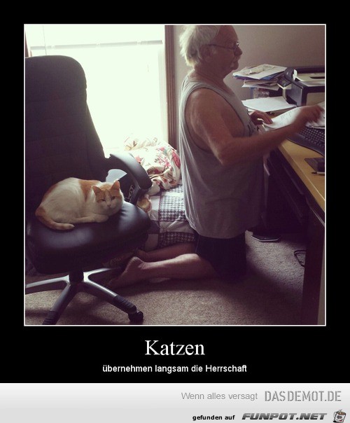 Katzen übernehmen die Herrschaft Katzen übernehmen die Herrschaft