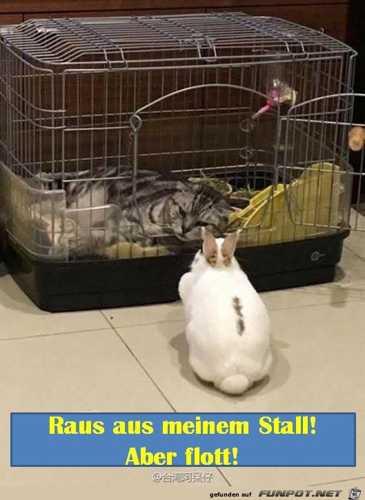 Raus da