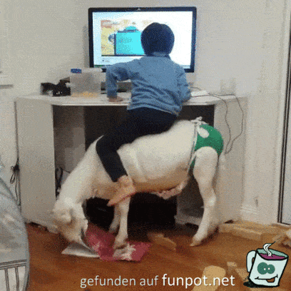 Tierischer Stuhl Tierischer Stuhl