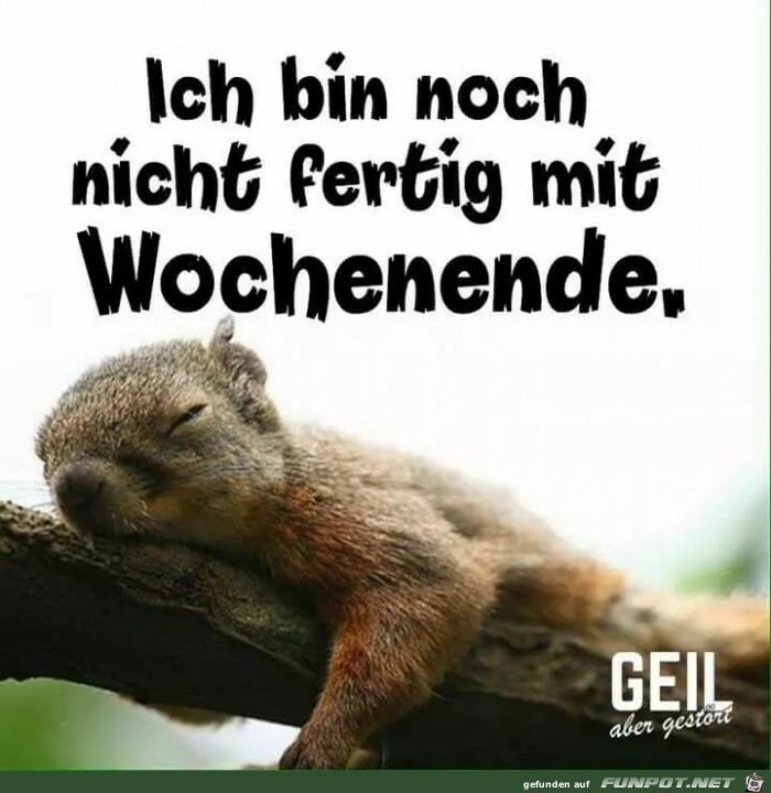 Noch nicht fertig mit Wochenende Noch nicht fertig mit Wochenende