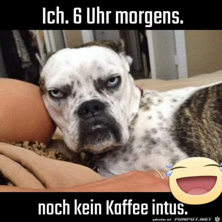 Ich um 6 Uhr ohne Kaffee Ich um 6 Uhr ohne Kaffee