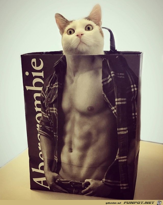 Cooler Body Cooler Body