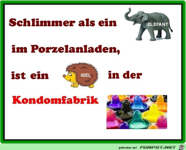 Schlimmer als ein Elefant ... Schlimmer als ein Elefant ...