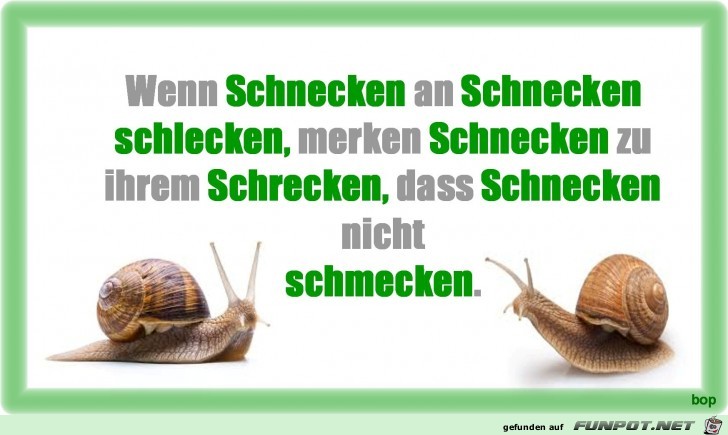 Wenn Schnecken an Schnecken ... Wenn Schnecken an Schnecken ...