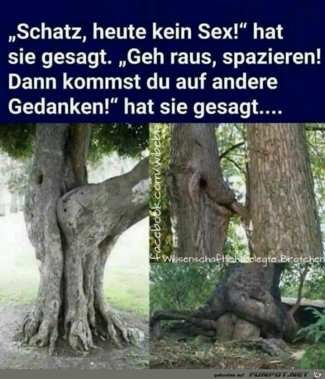Geh raus Geh raus