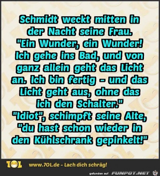 Herr Schmidt Herr Schmidt