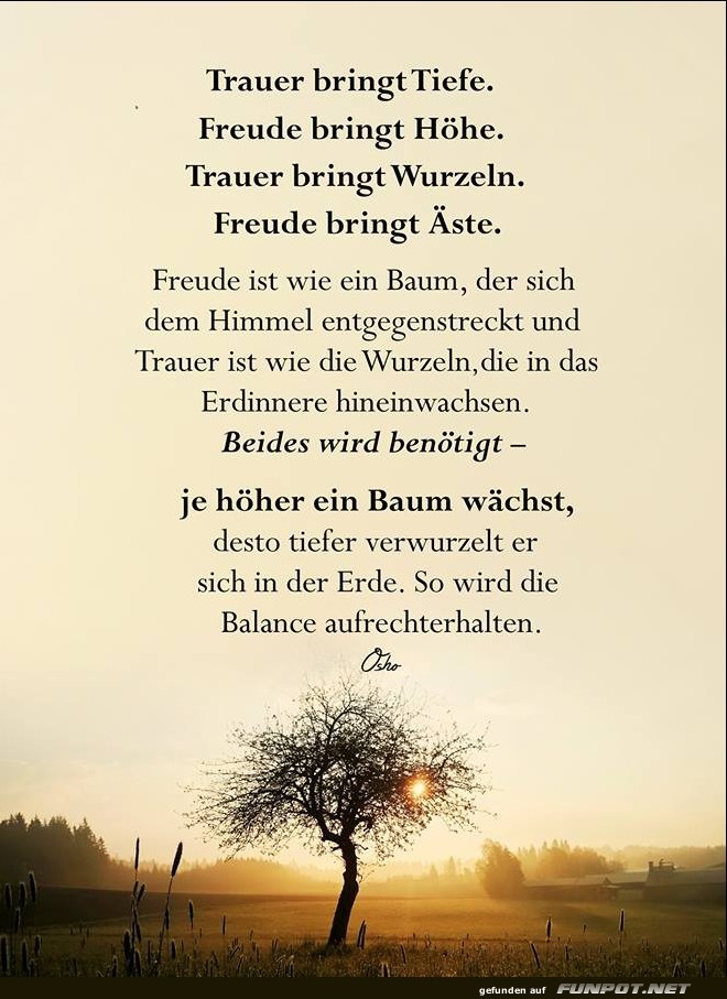 10 schne Sprche und Lebensweisheiten aus...
