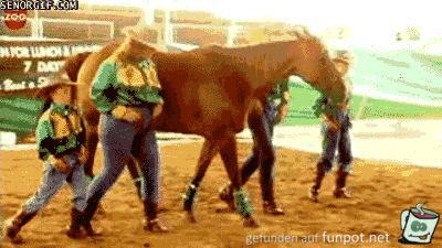 Square Dance Square Dance