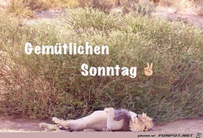 Gemütllichen Sonntag Gemütllichen Sonntag