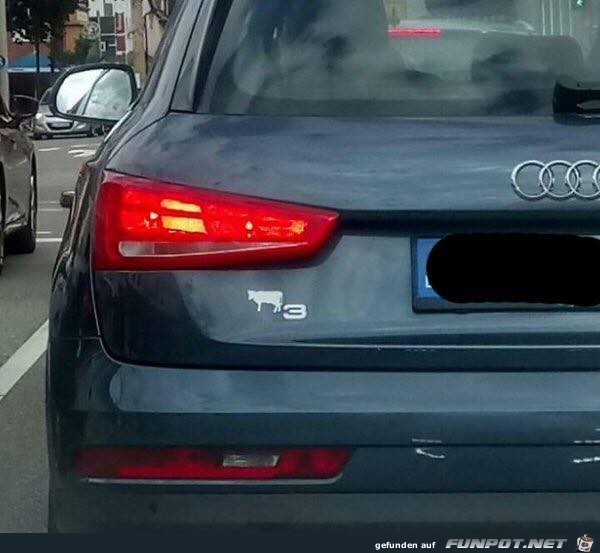 Audi Kuh3 Audi Kuh3