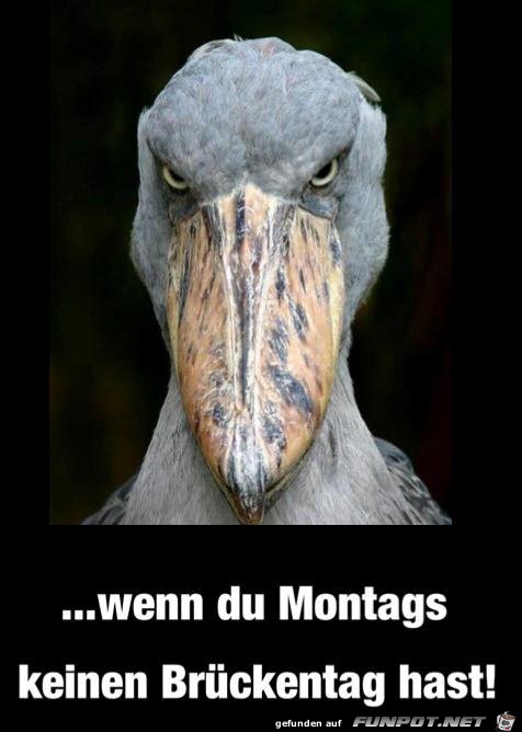 Kein Brückentag Kein Brückentag