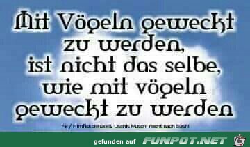 Der feine Unterschied Der feine Unterschied