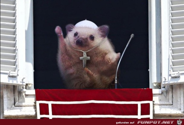 Lustiger Hamster Lustiger Hamster