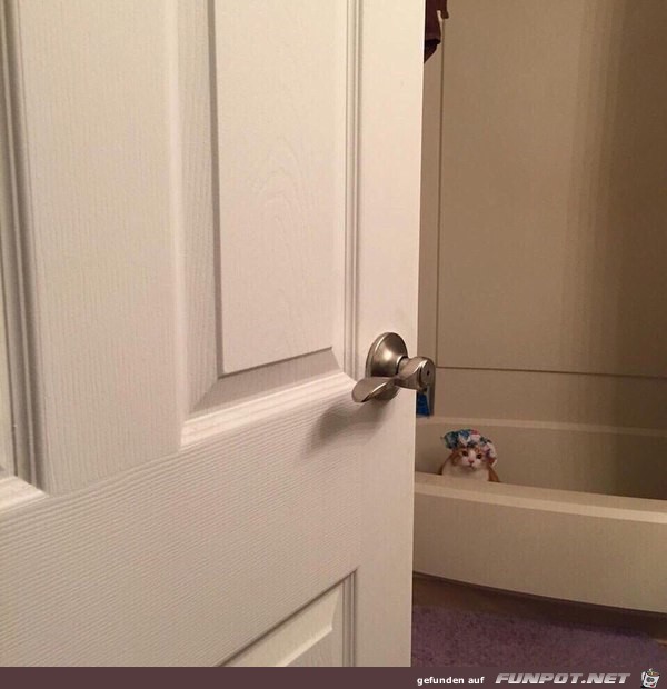 Katzenversteck Katzenversteck