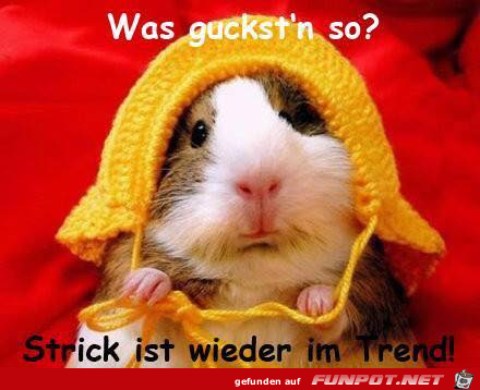 Strick ist in Strick ist in