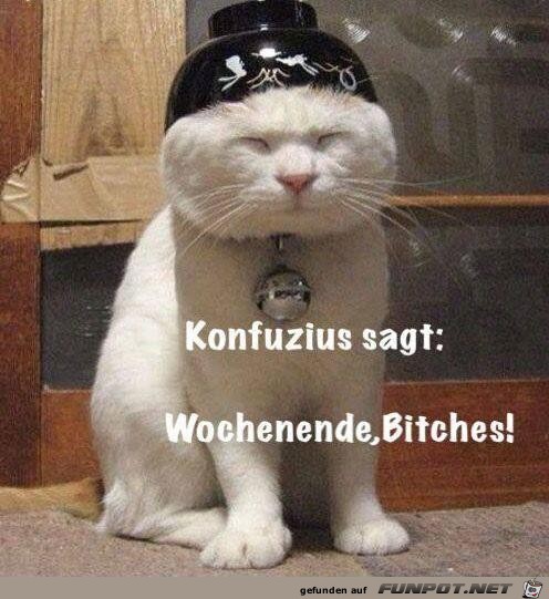 Konfuzius sagt Konfuzius sagt