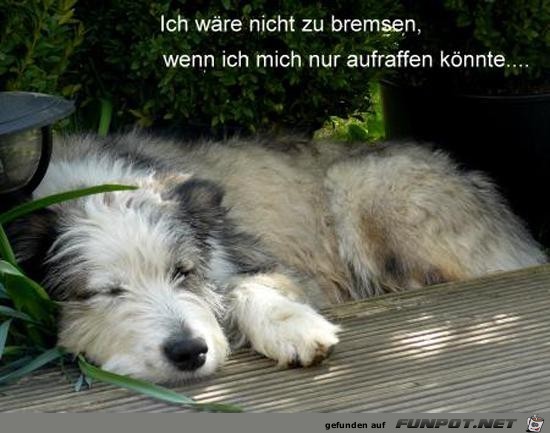 Kann mich nicht aufraffen Kann mich nicht aufraffen