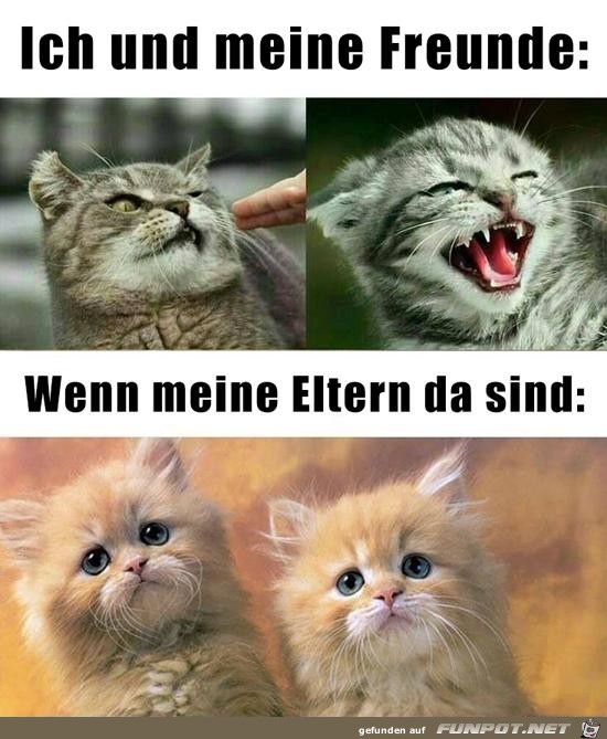 Wenn die Eltern da sind