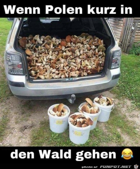 Kurz im Wald gewesen Kurz im Wald gewesen