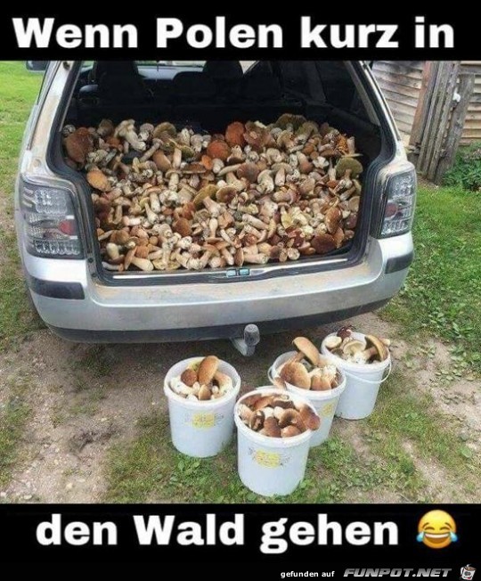 Kurz im Wald gewesen