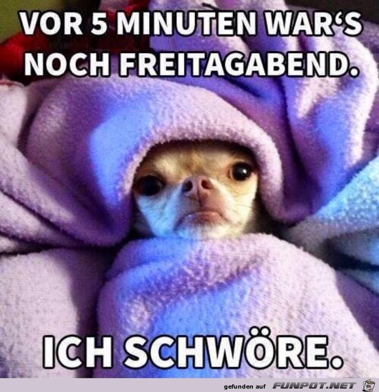 vor 5 Minuten vor 5 Minuten