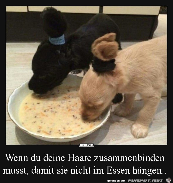 Haare zusammenbinden Haare zusammenbinden