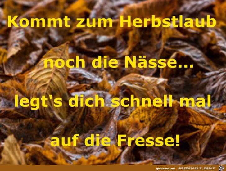 Nasse Herbstlaub