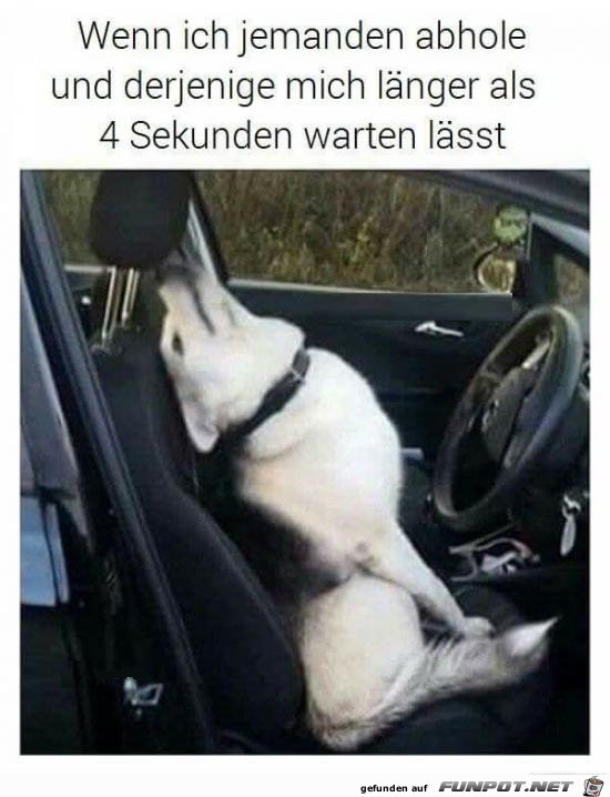Immer diese Warterei Immer diese Warterei