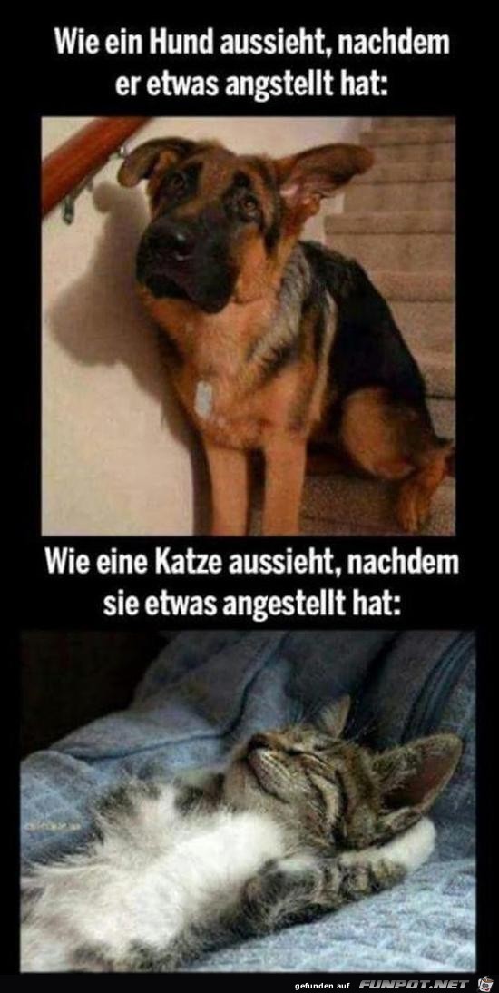 Der feine Unterschied Der feine Unterschied
