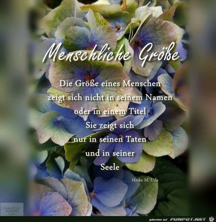 11 Guten Morgen Sch ne Spr che Liebevolle Gedanken Lebensweisheiten 