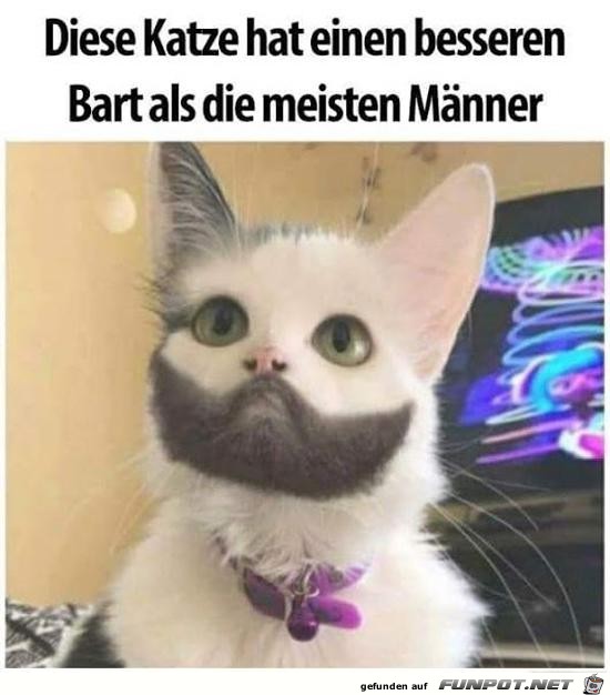 Klasse Bart Klasse Bart
