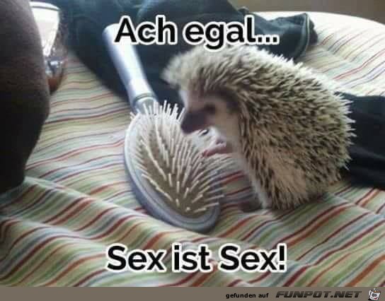 Ach egal Ach egal
