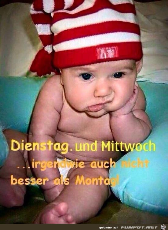 Irgendwas ist immer Irgendwas ist immer