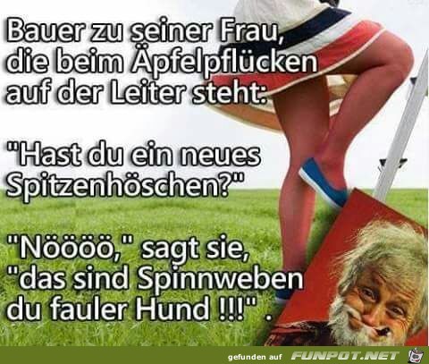 Beim Äpfelpflücken Beim Äpfelpflücken