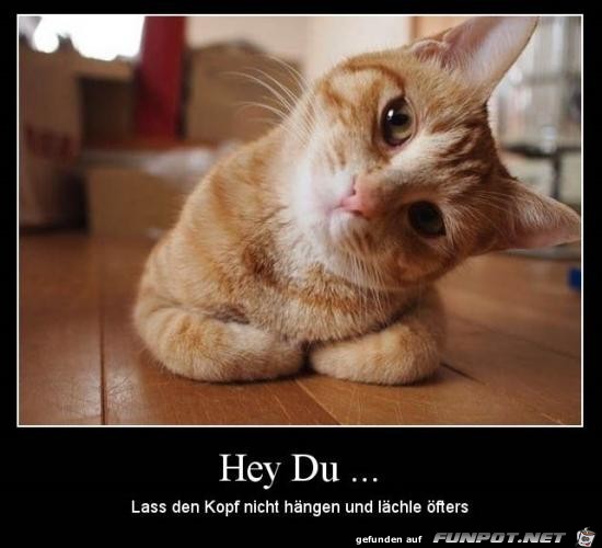 Hey Du........ Hey Du........