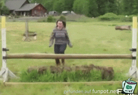 zu hoch zu hoch