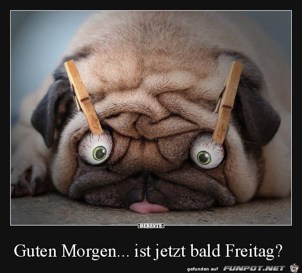 Guten Morgen Guten Morgen