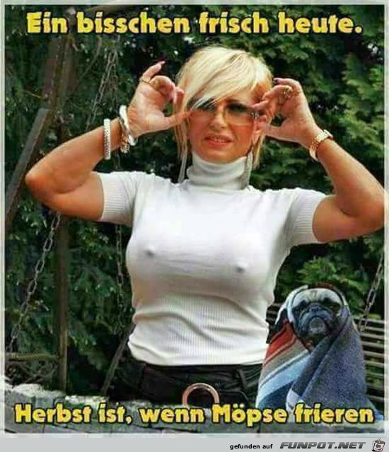 Herbst ist Herbst ist
