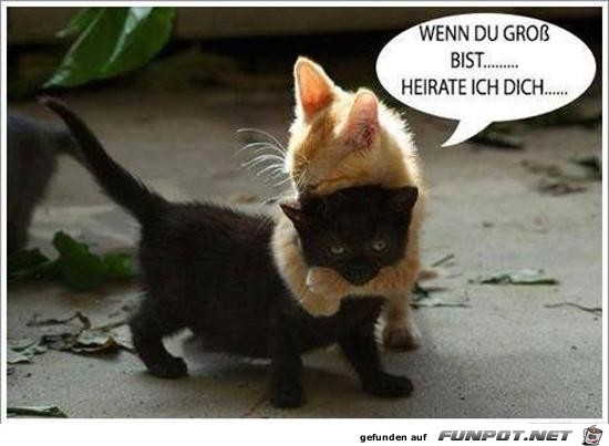 Wenn du groß bist Wenn du groß bist