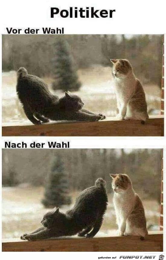 Vor und nach der Wahl Vor und nach der Wahl