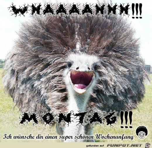 Montag Montag