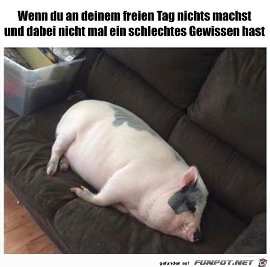 Dein freier Tag