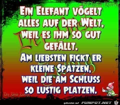 Ein Elefant...