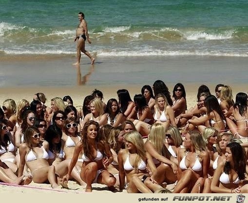 Fails-im-Hintergrund-4 Fails-im-Hintergrund-4